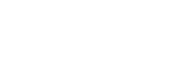 Parti Socialiste logo